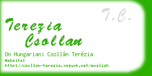 terezia csollan business card