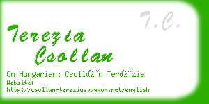 terezia csollan business card